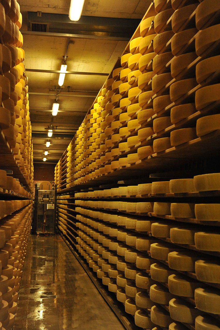une des multiples rangées des gruyères