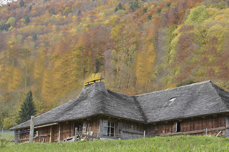 Chalet d'alpage gruérien