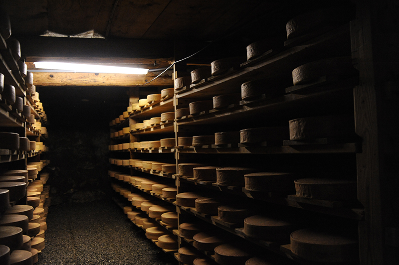 vieillissement des vacherins dans les anciennes caves de la Tzintre